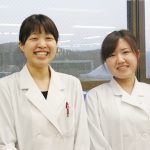 女性活躍推進法